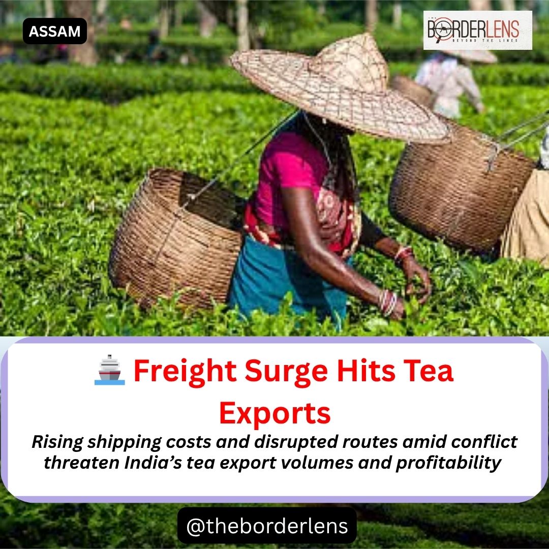 The Borderlens tweet media