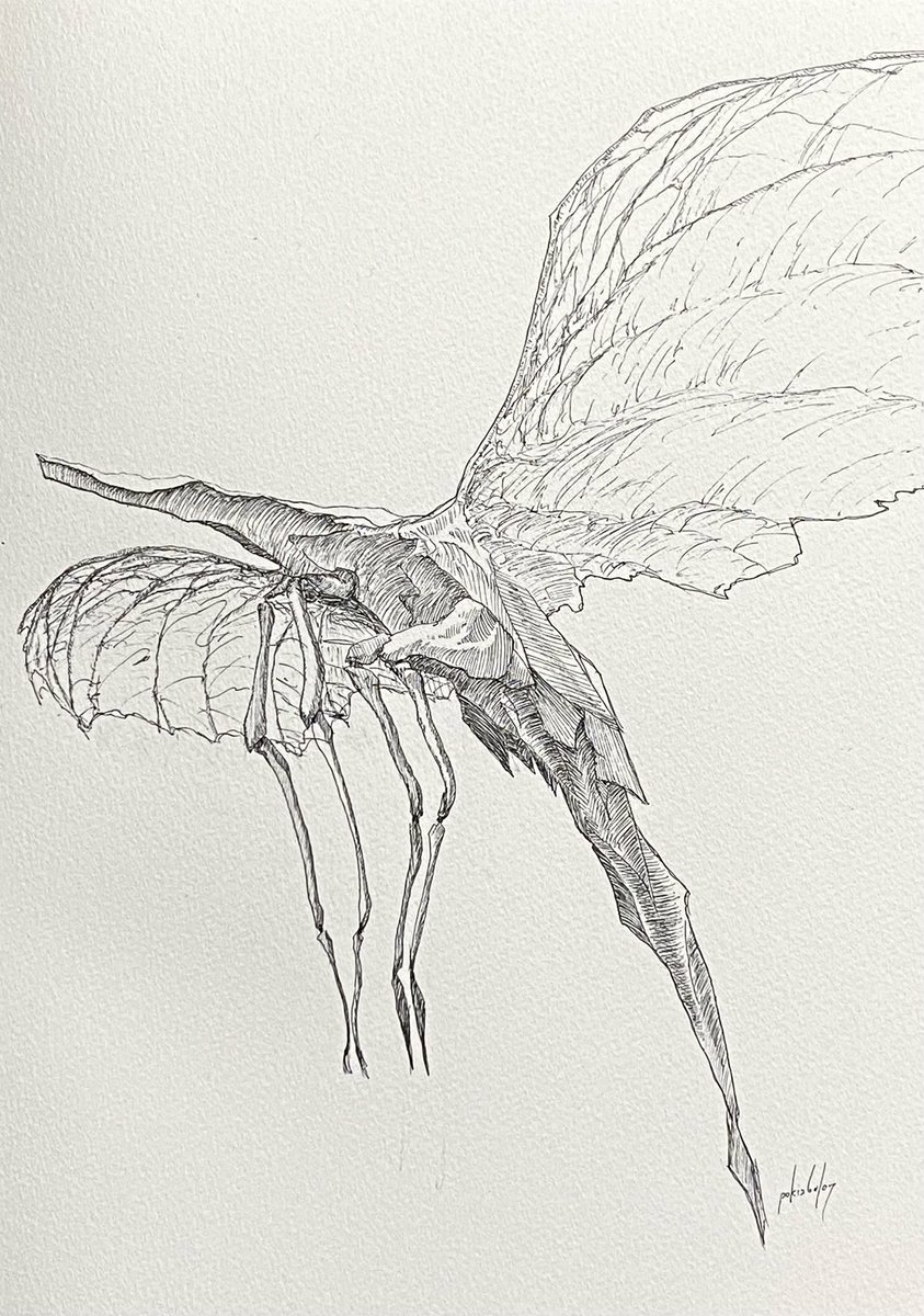 ぽき/poki tweet media