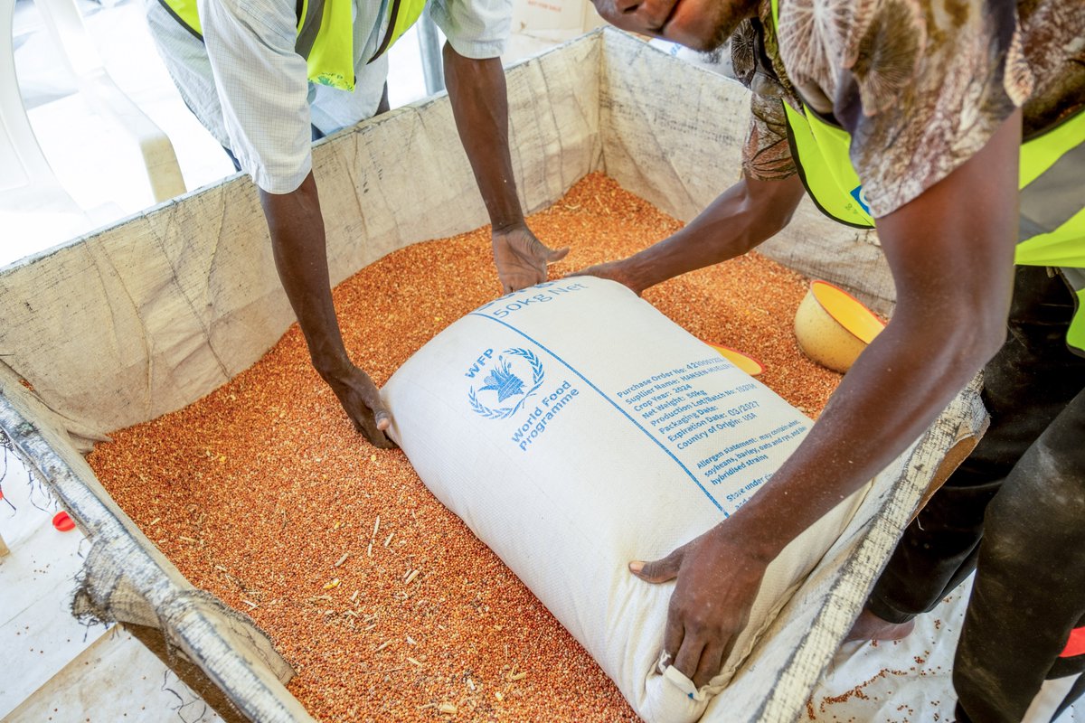 WFP Nigeria tweet media