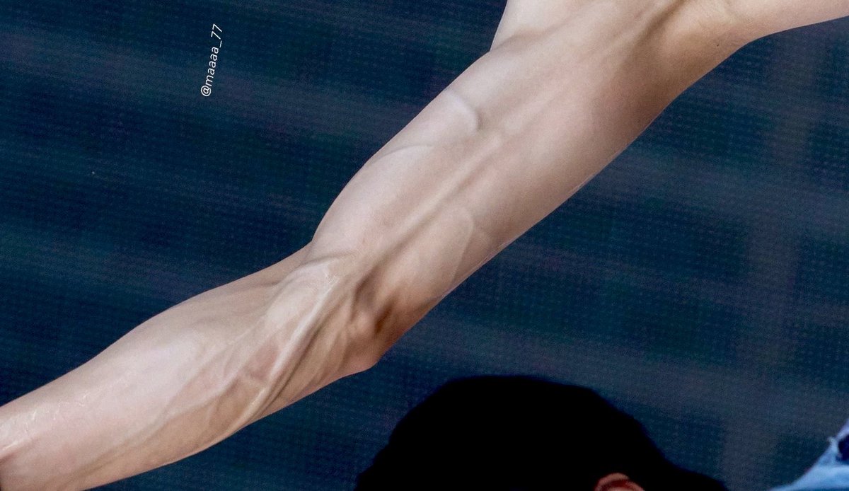 ❇️⁶⁵ tweet media