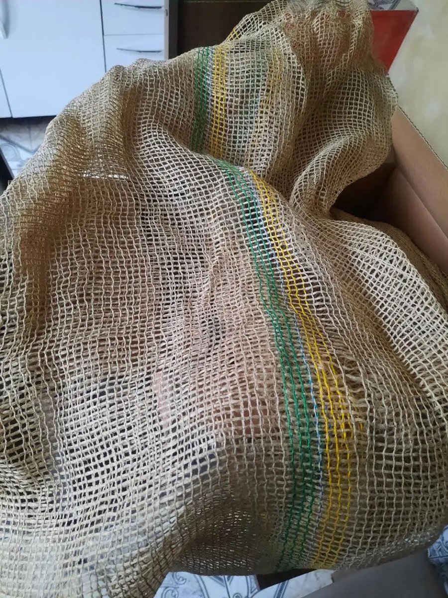 Gibson Couto tweet media