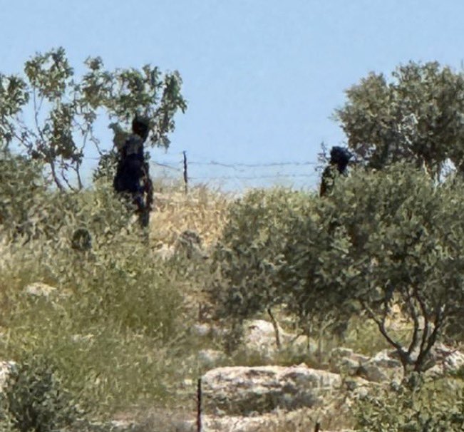 Roni 🦭🍅 tweet media