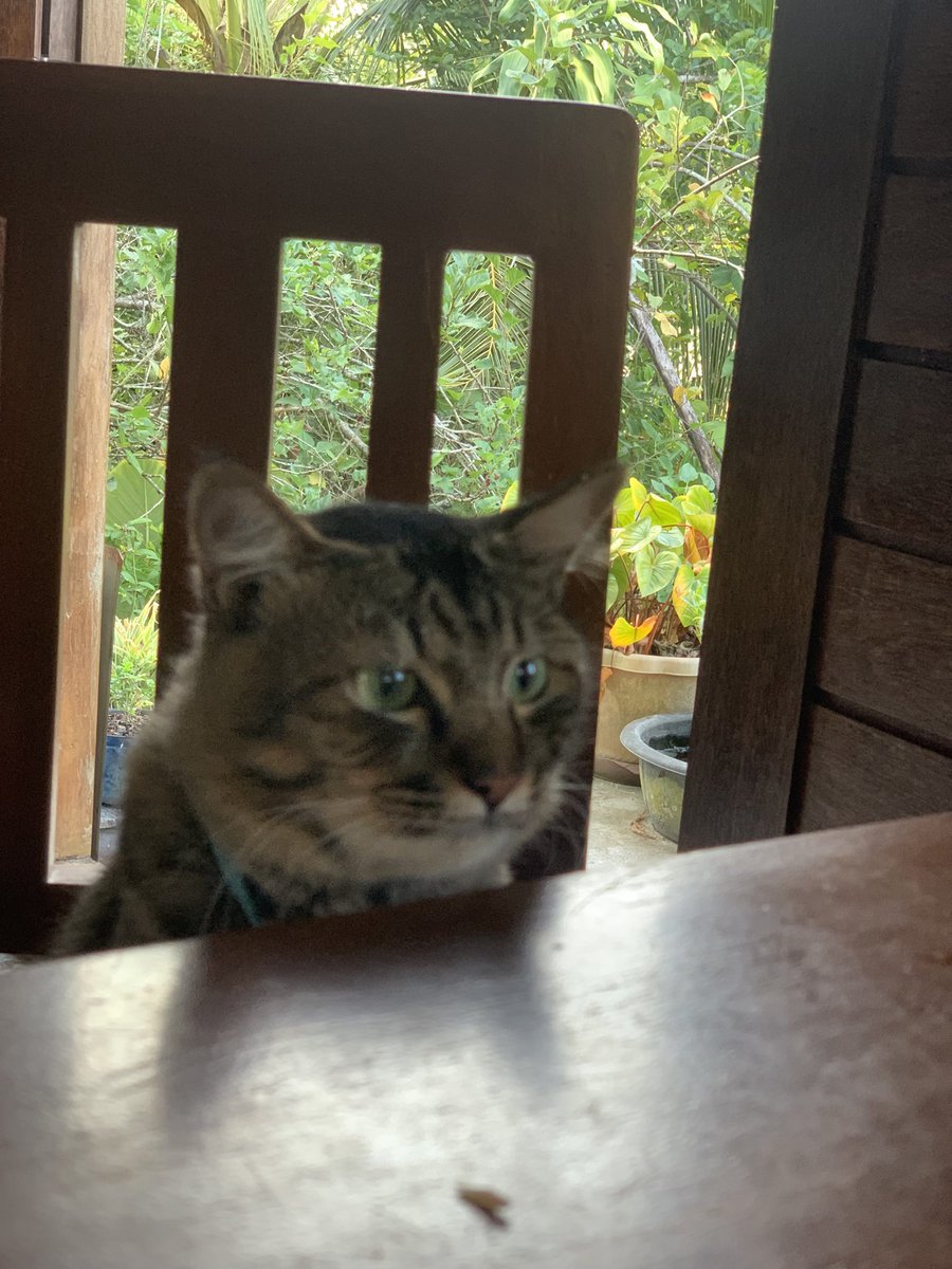 praygrown tweet media