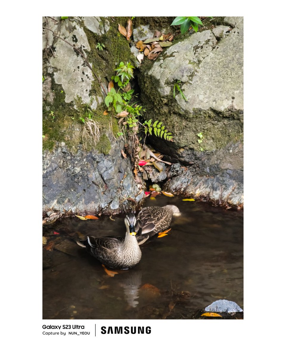 Nun_yeou's tweet image. #withgalaxy 
#shotonsnapdragon