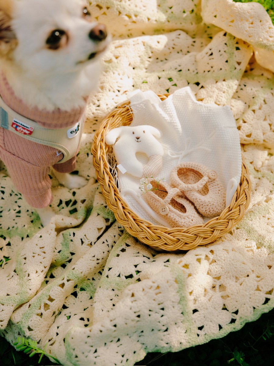 レオ Omoinotake tweet media