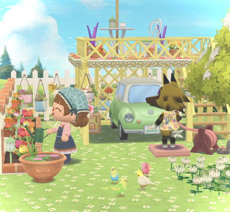 灰色チャツネ tweet media