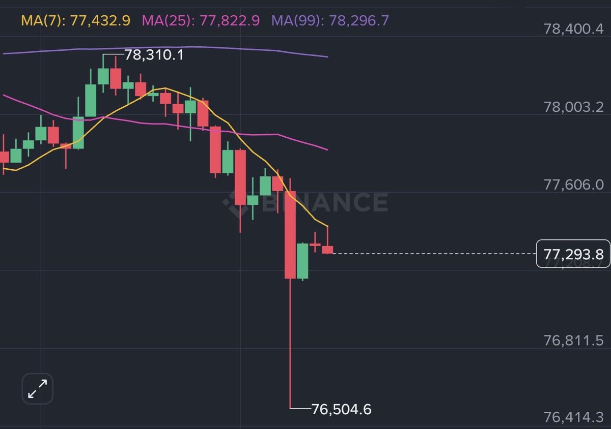 DonaX₿τ tweet media