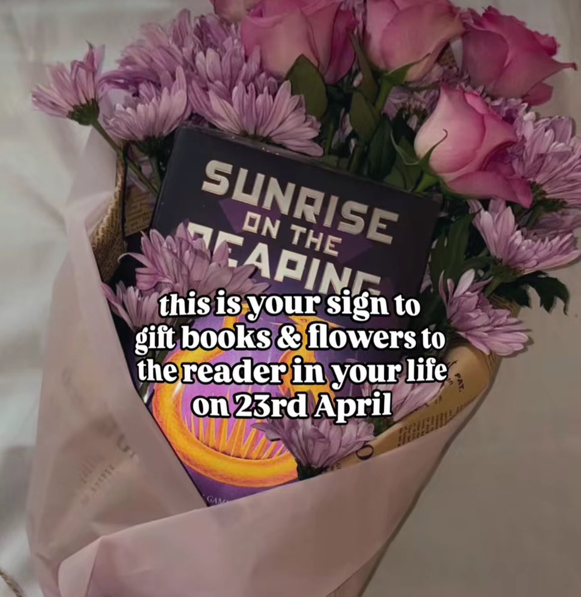 arshia ☕︎ tweet media