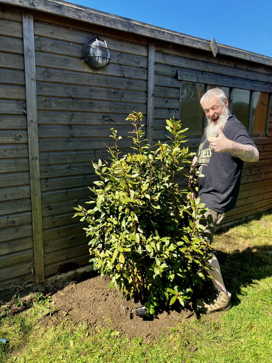 karen thompson tweet media