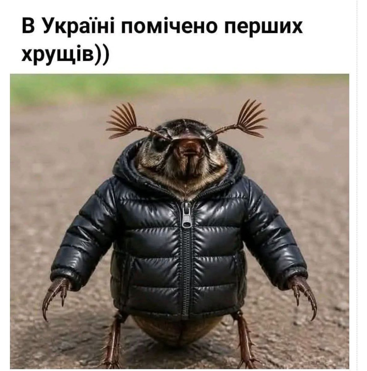 Shubska Larysa tweet media