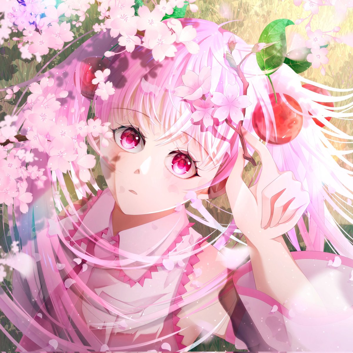 椛（Momiji） tweet media