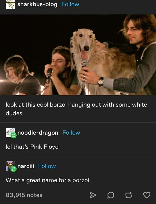 no context memes (@weirddalle) on Twitter photo 