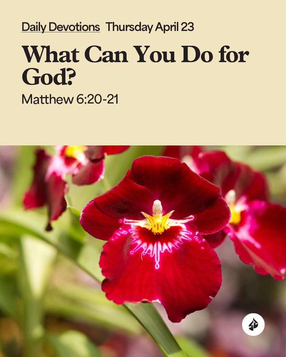 In Touch Ministries tweet media