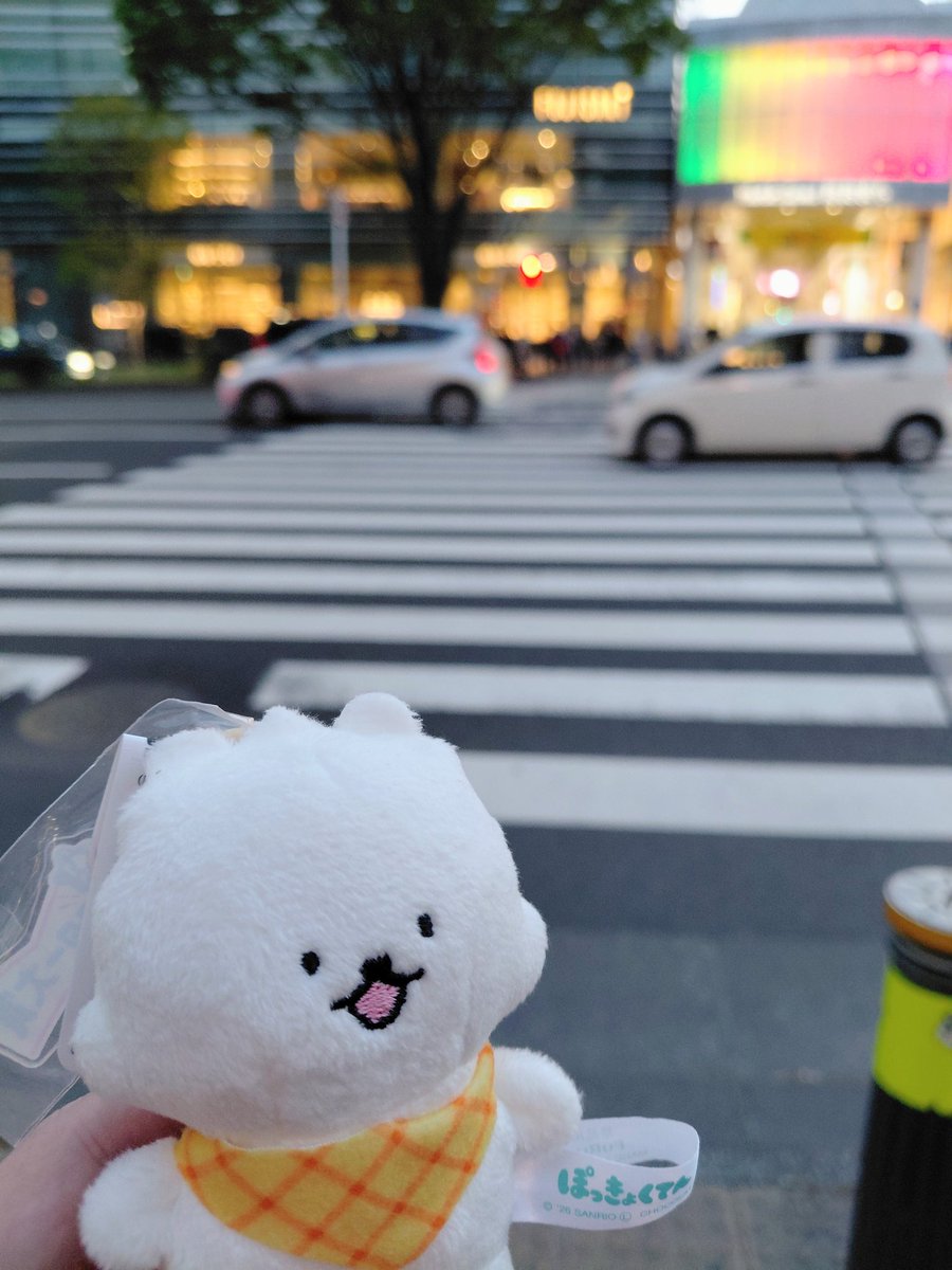 現地でNEWぽーちゃん追加入手‼️
アーケード、ぽーちゃんだよ…

 #ぽっきょくてん
 #ぽっきょくてんぬい撮り部
 #ぽーのいる生活