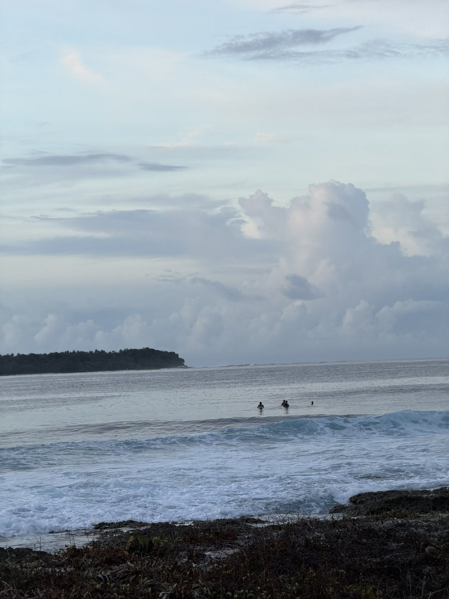 icaa🌻 tweet media