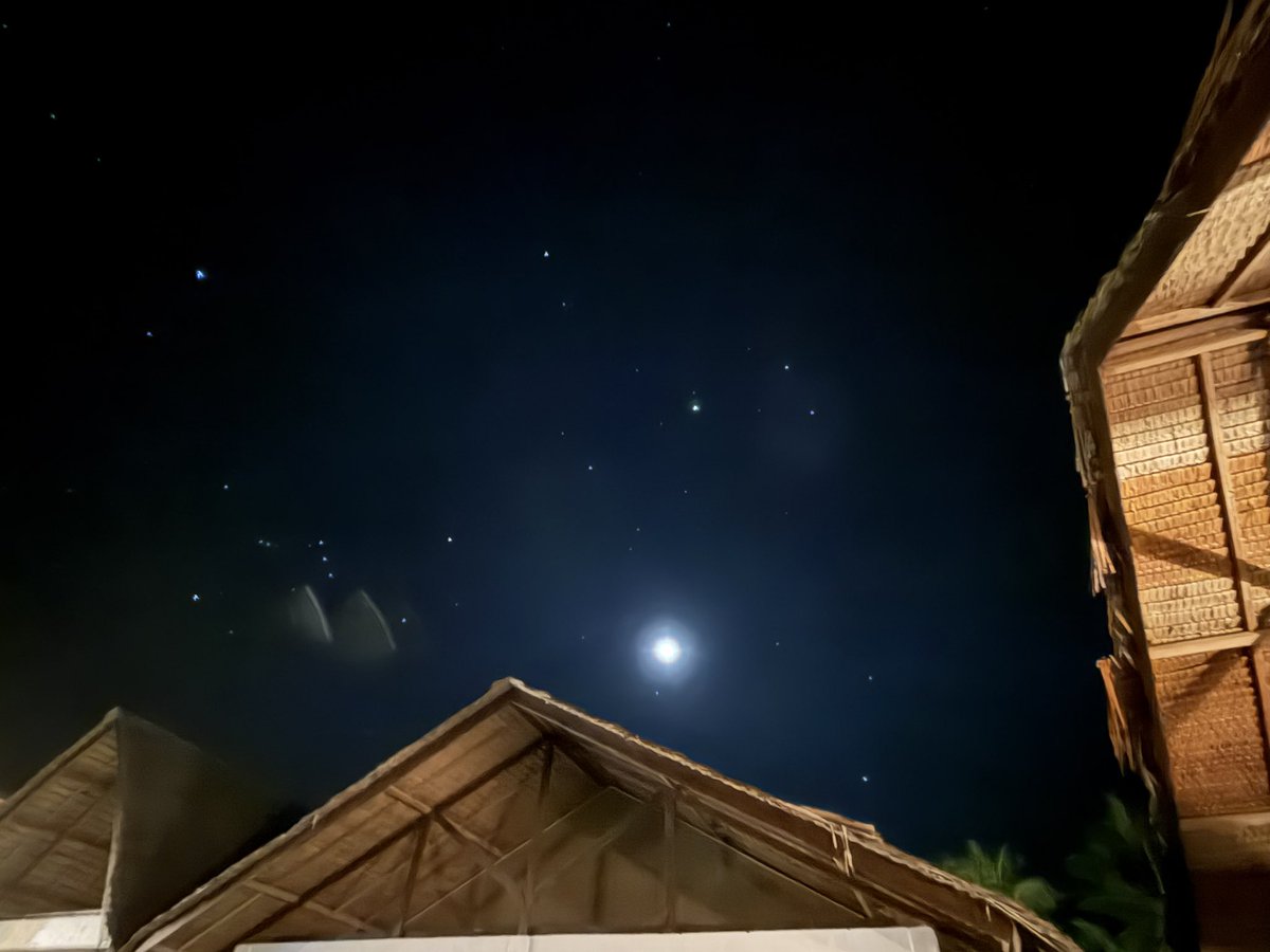 icaa🌻 tweet media