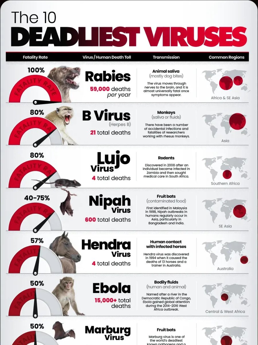 The 10 Deadliest Viruses (By Fatality Rate) 🦠 🐶 Rabies — 100% (59,000 ...