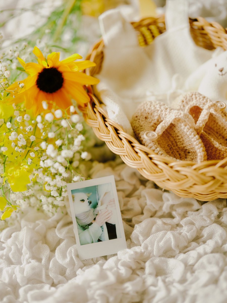 ASOBOiSM tweet media