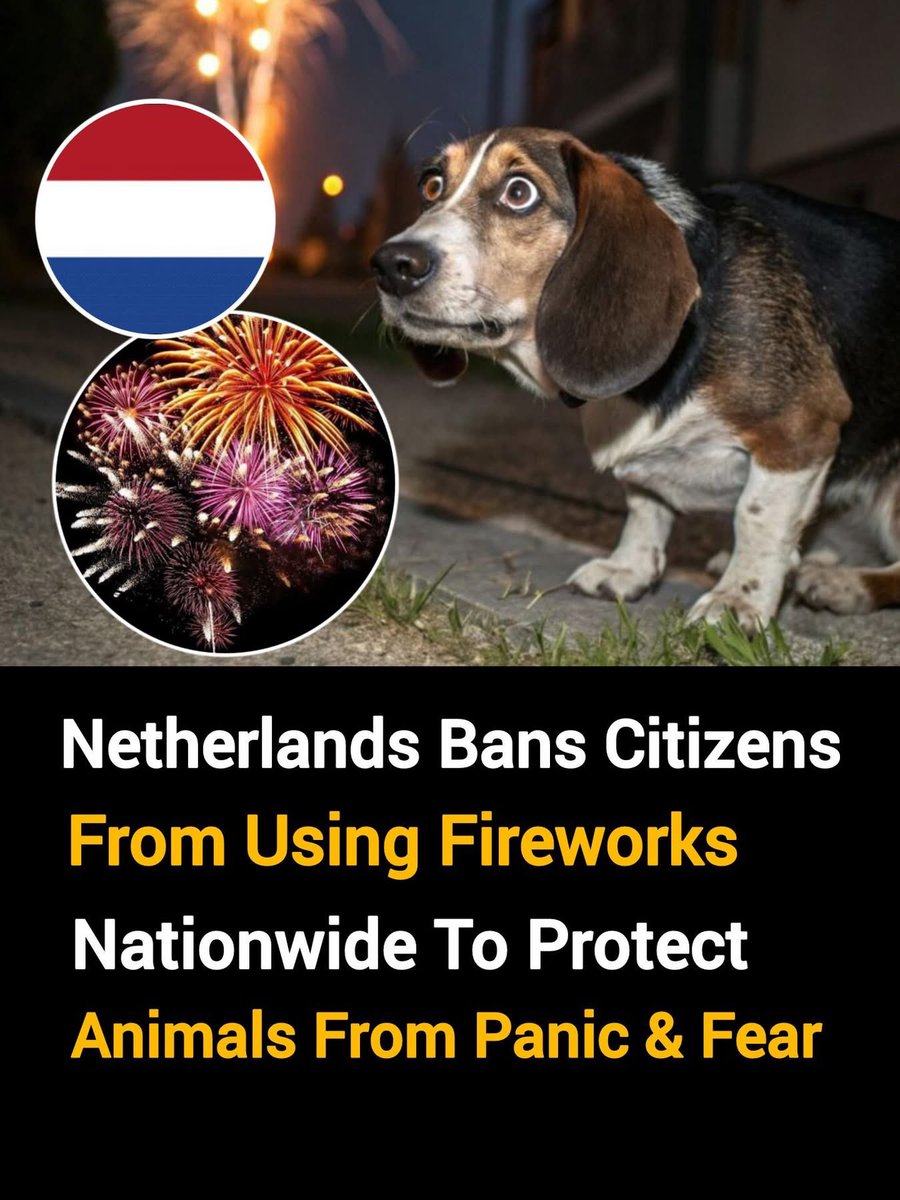 PROTECT ALL WILDLIFE tweet media