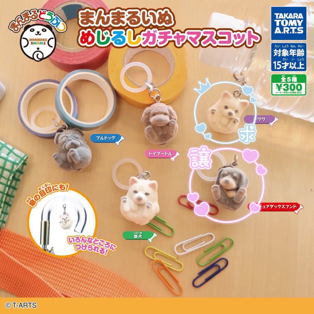 ymd_kurusuke's tweet photo. 【交換】まんまるいぬ めじるし ガチャマスコット

譲：ミニチュアダックスフンド

求：チワワ

郵送交換のみ
検索からでもお気軽にお声がけください🤍🐕 https://t.co/VMXMhrlRDL
