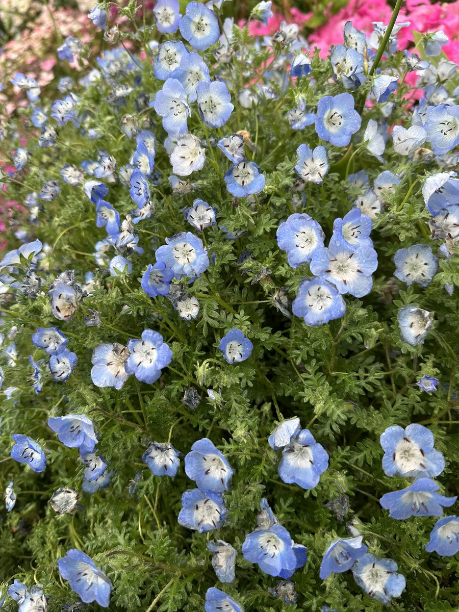 ⌖˚𝐑𝐢𝐕𝐚. tweet media