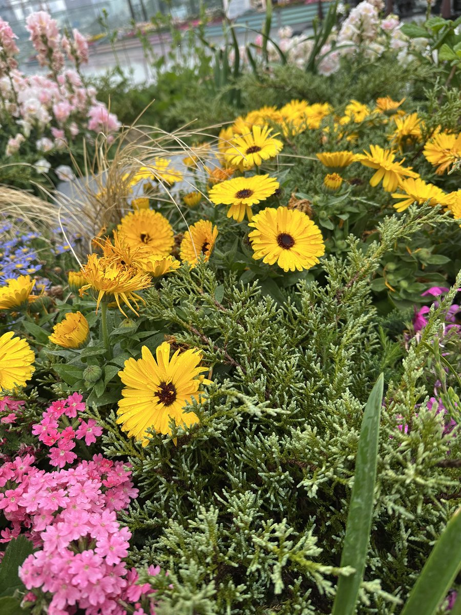 ⌖˚𝐑𝐢𝐕𝐚. tweet media