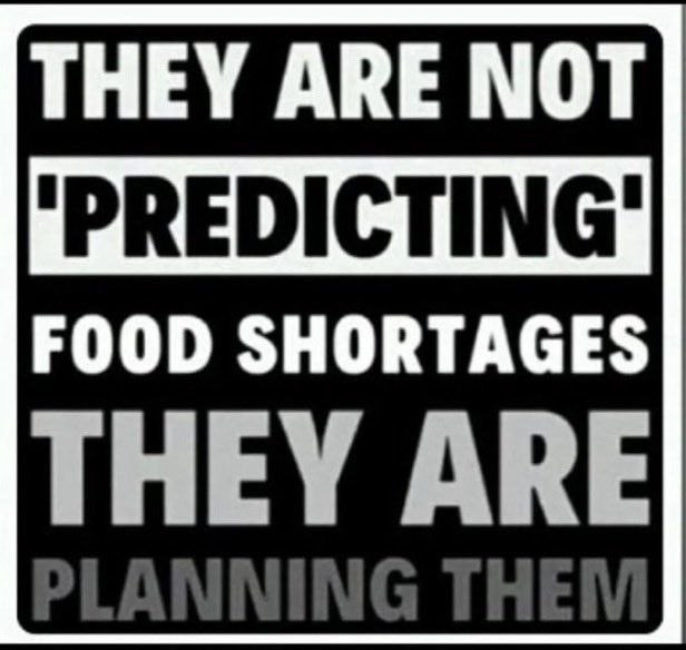 🐦‍⬛Awaken the fallen🐦‍⬛ (@awakentfallen) on Twitter photo 