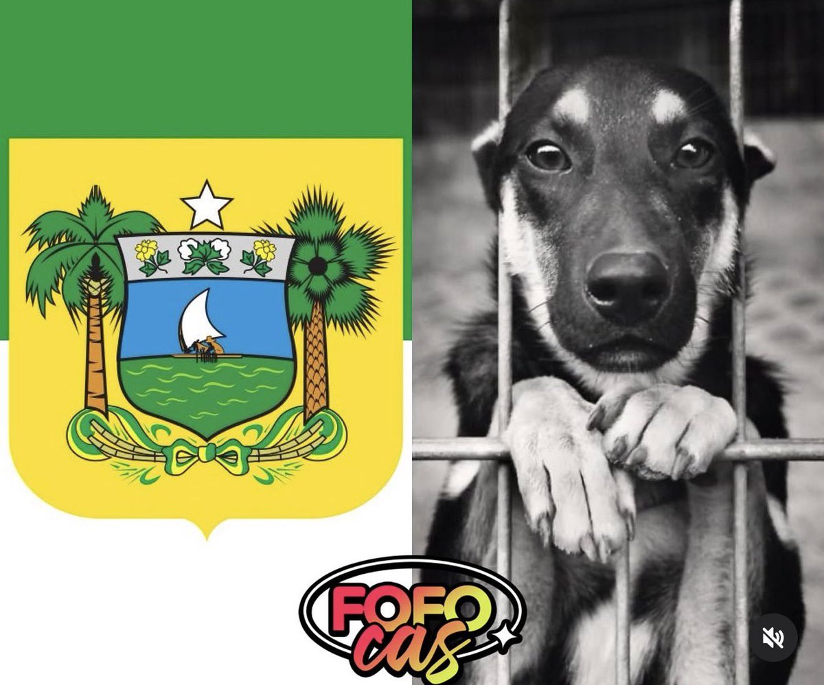 Amandinha 🇧🇷🚩 tweet media