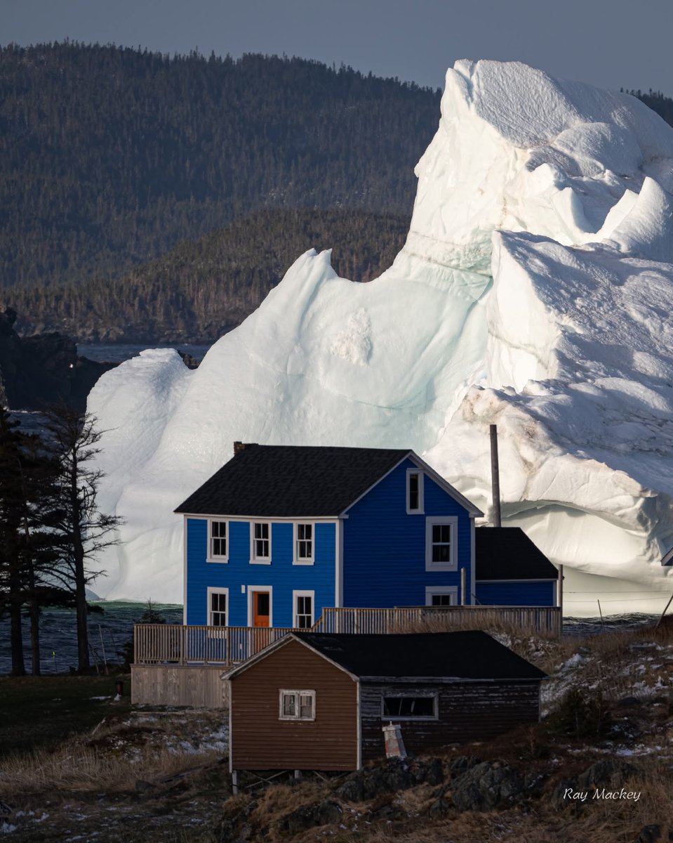 DWPippy's tweet image. Good morning!
Twillingate, Newfoundland and Labrador photographed by Ray Mackey Photography. 
Imagine waking up and seeing a gigantic iceberg that's come to visit..