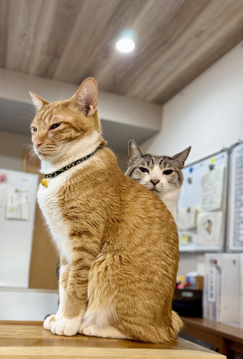 なみそ📕KEN/書籍重版！感謝📙 tweet media