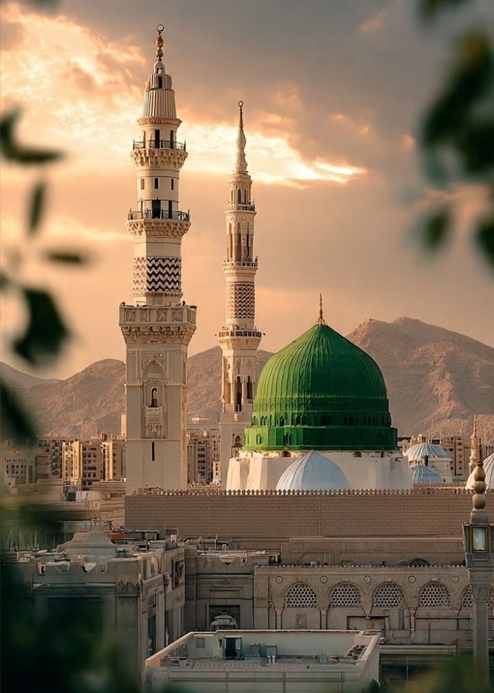 Fatima Zahra tweet media