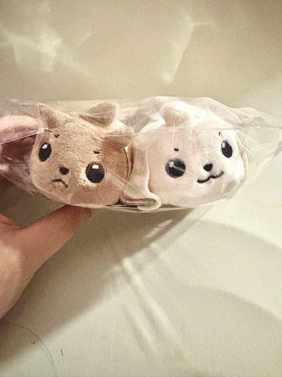 つながデジモンのぬいぐるみ買ってたから私もロップモンとテリアモンをお迎えした
