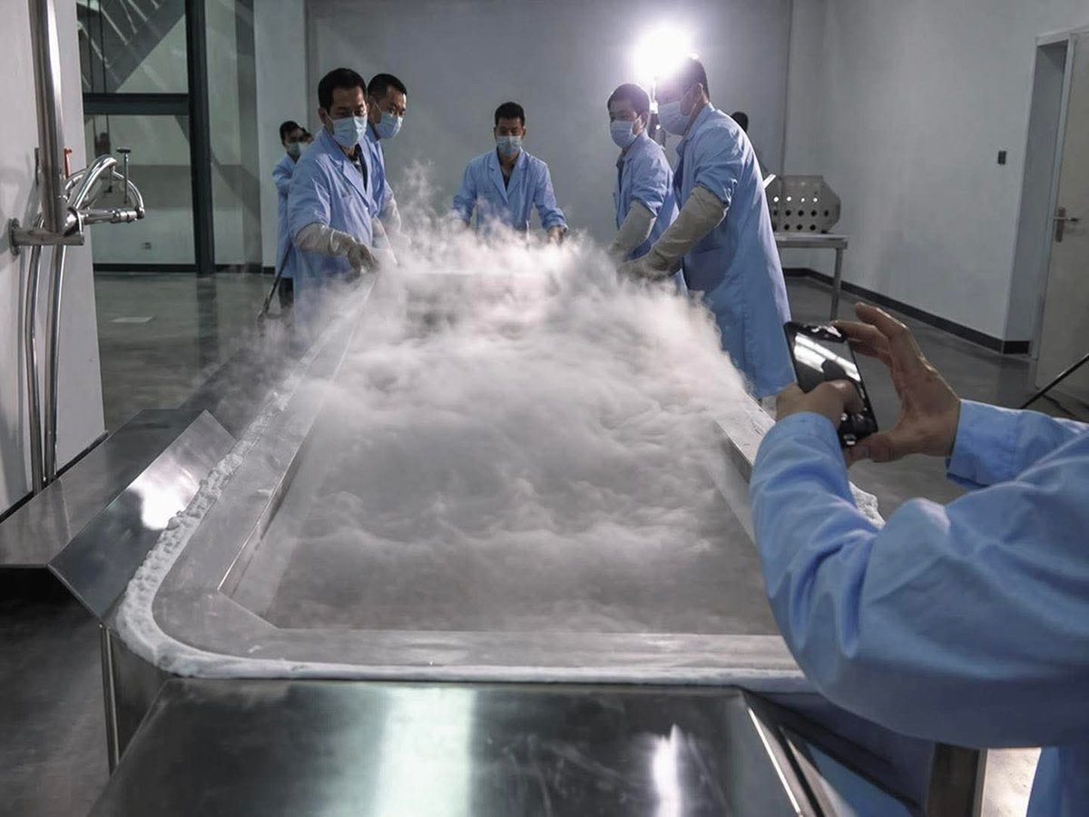 محمد سالم tweet media