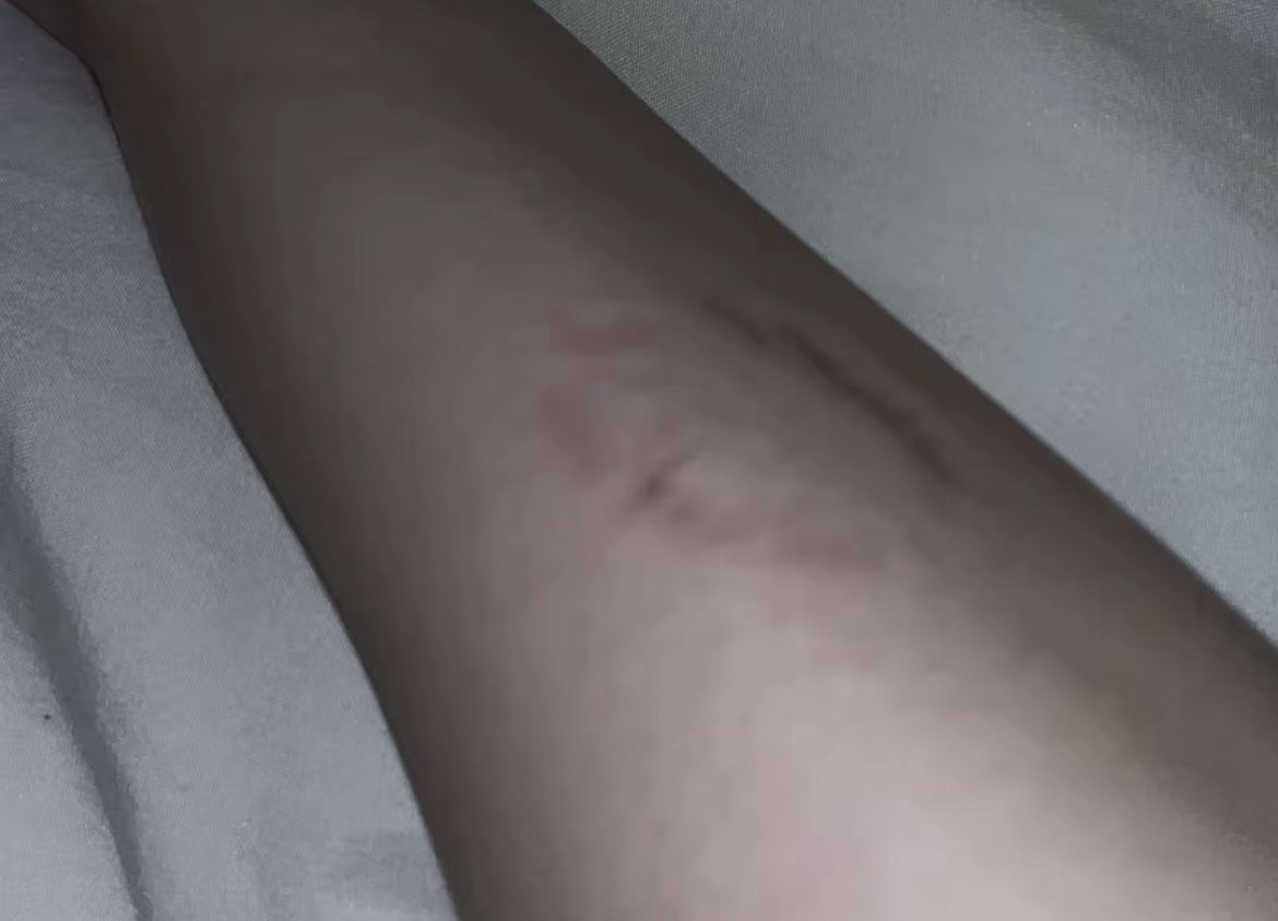 れいら tweet media