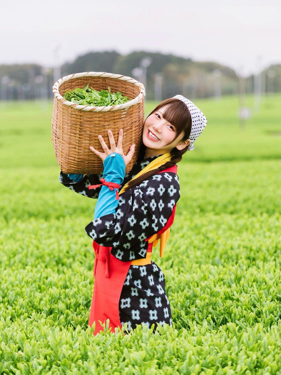 mari_chaider's tweet photo. 静岡県産みどり担当アイドル🍵🌱💚 https://t.co/8acH6tBjVd