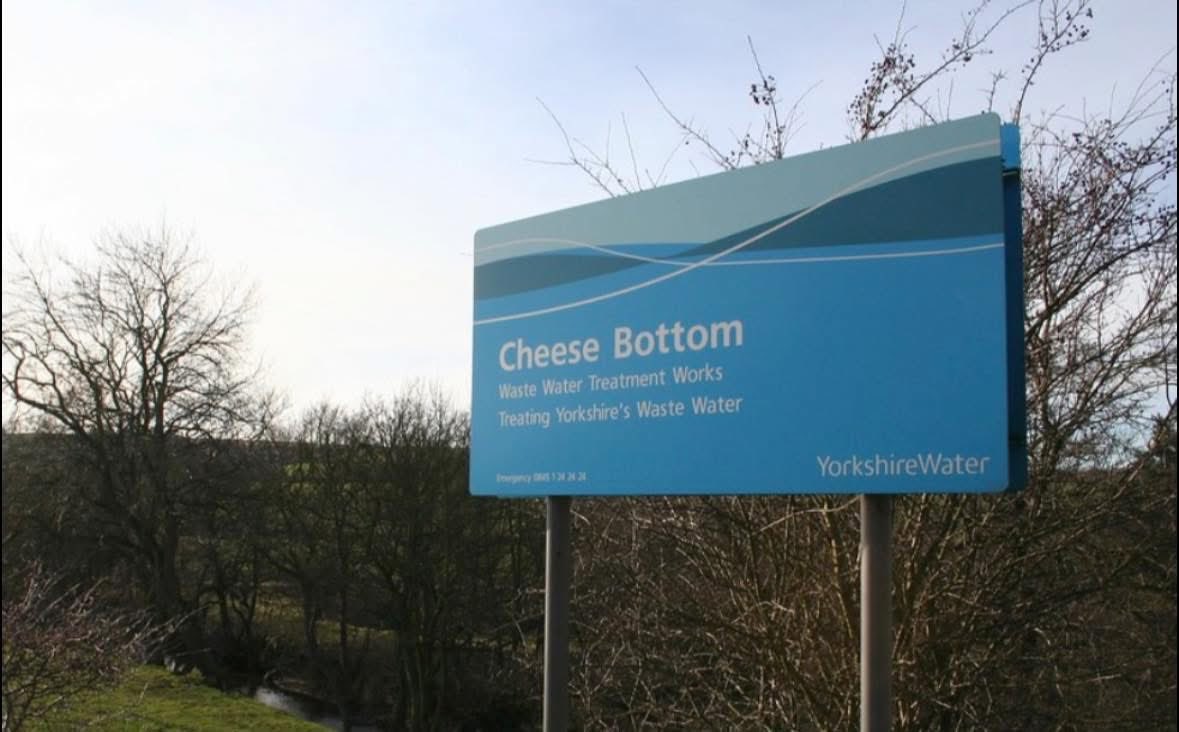 Hewbo 🐝 tweet media