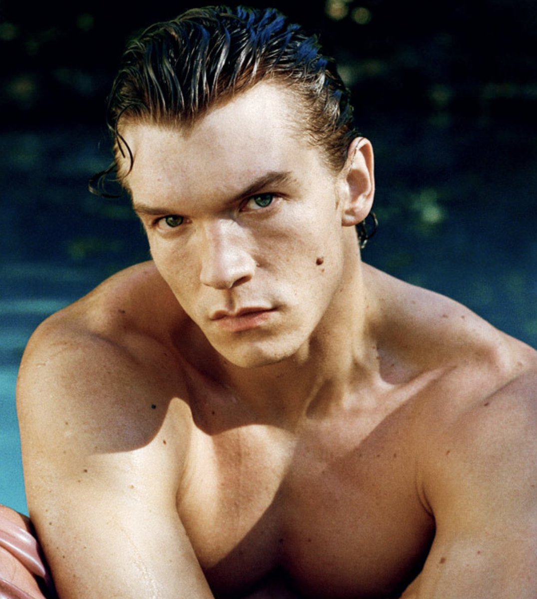 lalalaika tweet media