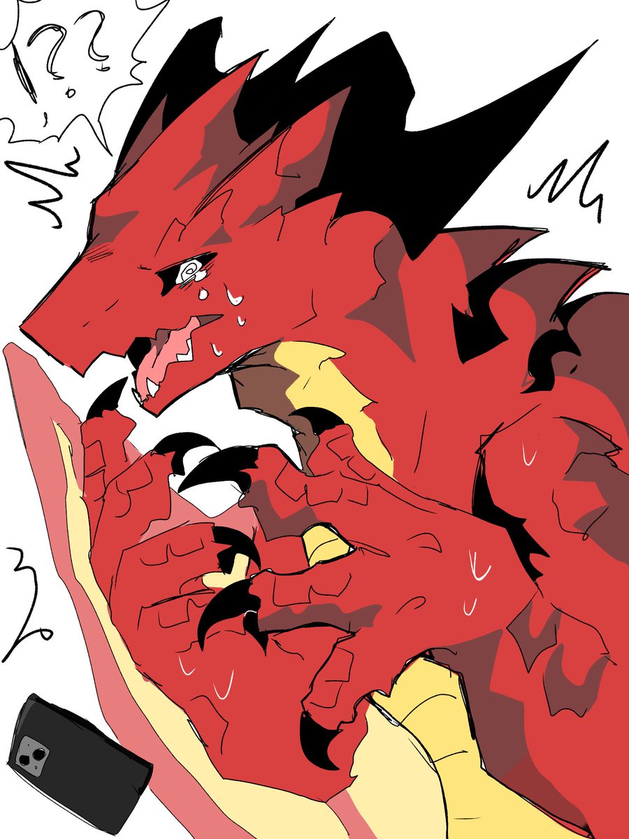 ただの鳥好き🦅 tweet media