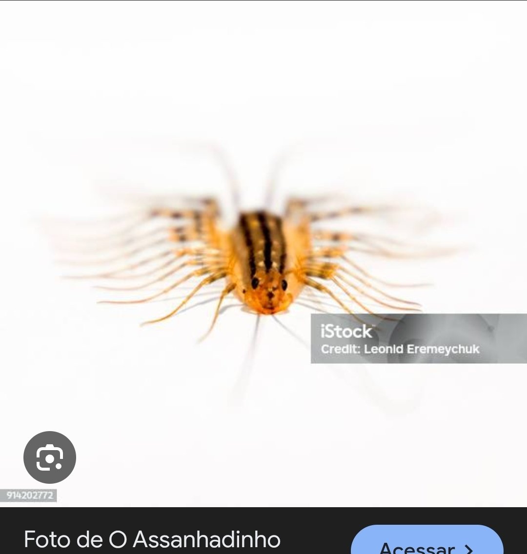 atlas :) (@gatinhocoded) on Twitter photo 