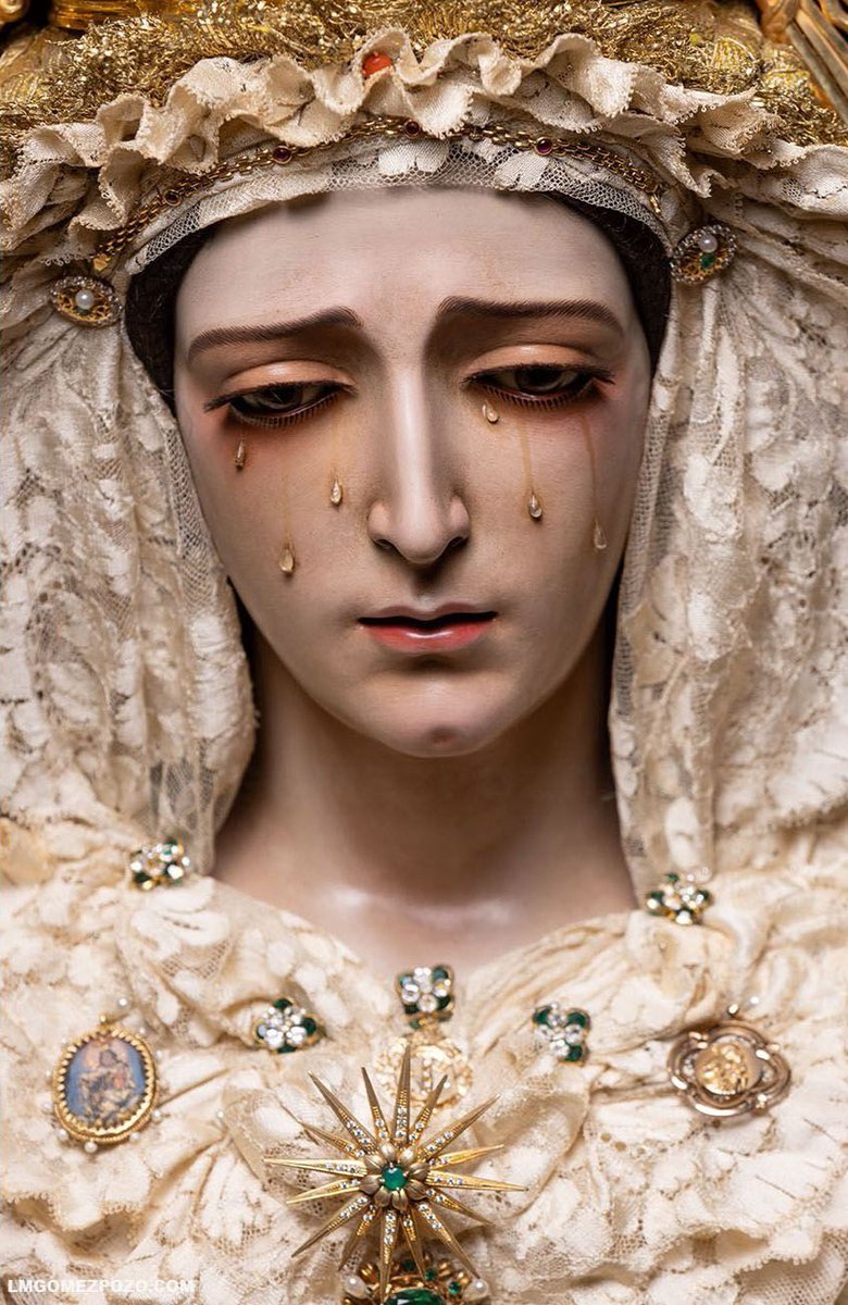 Iván 🦋 (@ivandekamp4) on Twitter photo 