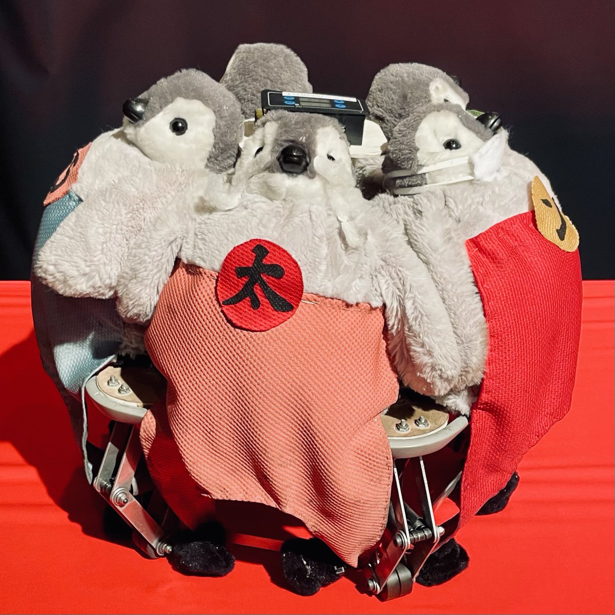 ペンギン大学 ＠2026.4.24(金)「世界ペンギンの日」前夜祭 tweet media