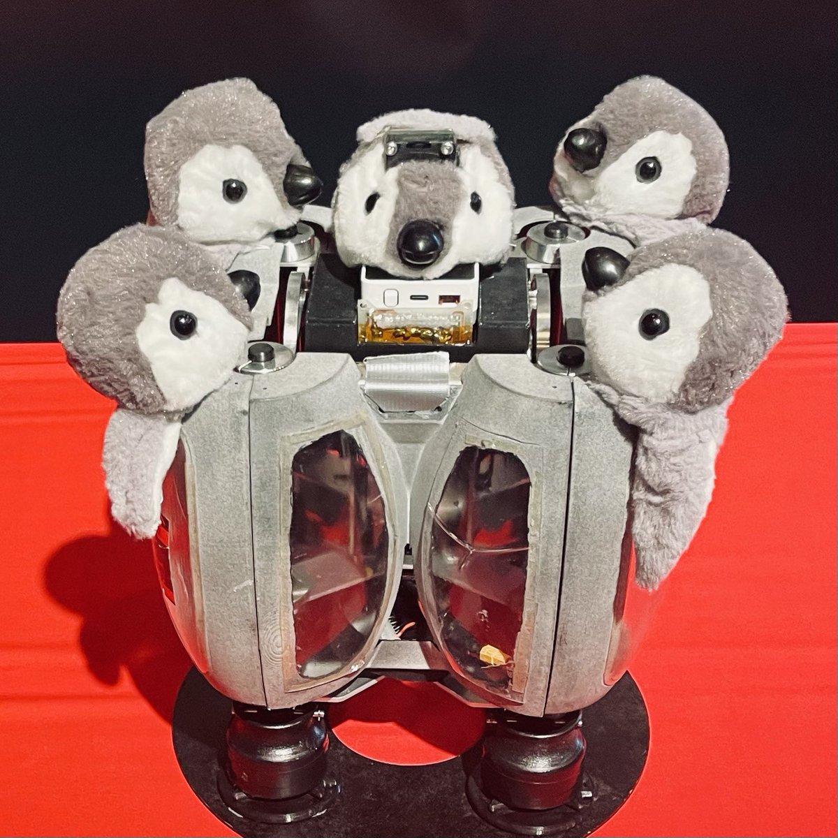 ペンギン大学 ＠2026.4.24(金)「世界ペンギンの日」前夜祭 tweet media