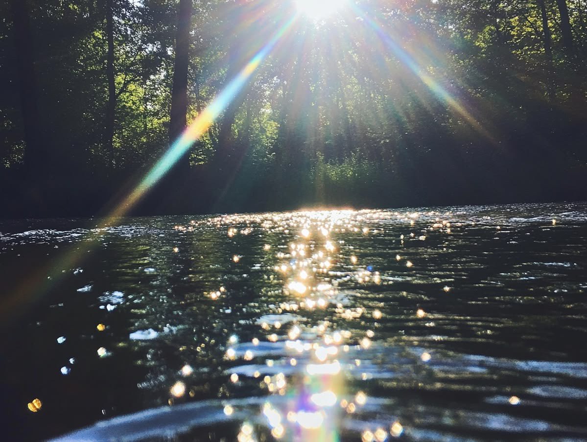 Drتحت الانشاء tweet media