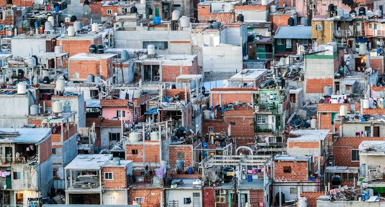 Nasalis Polentero tweet media