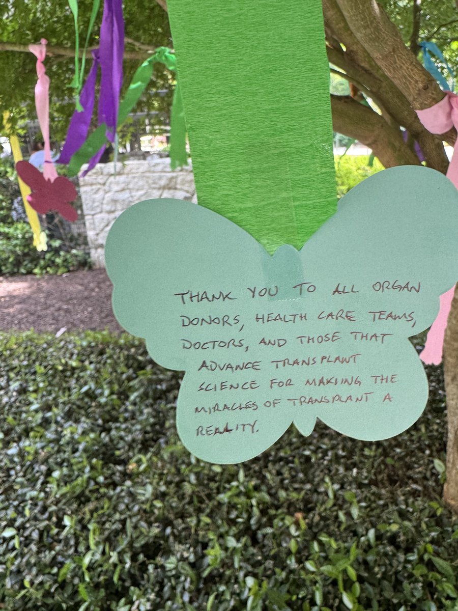 childrensatl's tweet photo. In honor of #DonateLifeMonth, patients who received a transplant at Children's came together for a special service of gratitude to thank our organ donor families. https://t.co/4vEp6qkpbC