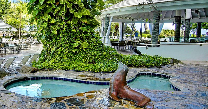tropicalitytips's tweet image. Relax in a poolside hideaway at Condado Plaza Hotel, where lush greenery offers a tranquil island escape. 🌱💦
tropicality.com/resorts
#puertorico #luxurytravel #vacation #tropics