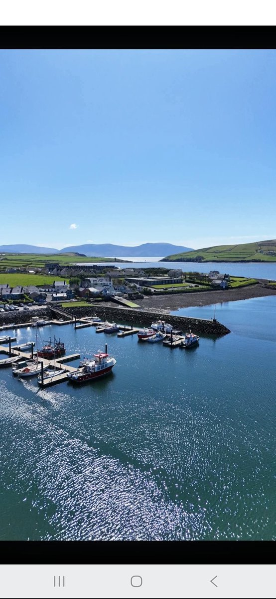 ThisIsIreland3's tweet image. Good afternoon all, Dingle harbour looking unreal as always 🏞️🌊

📍County Kerry - Ireland ☘️ 

📸 Pat O' Brien 

#Kerry #Ireland #Dingle #Views #Afternoon #Wildatlanticway