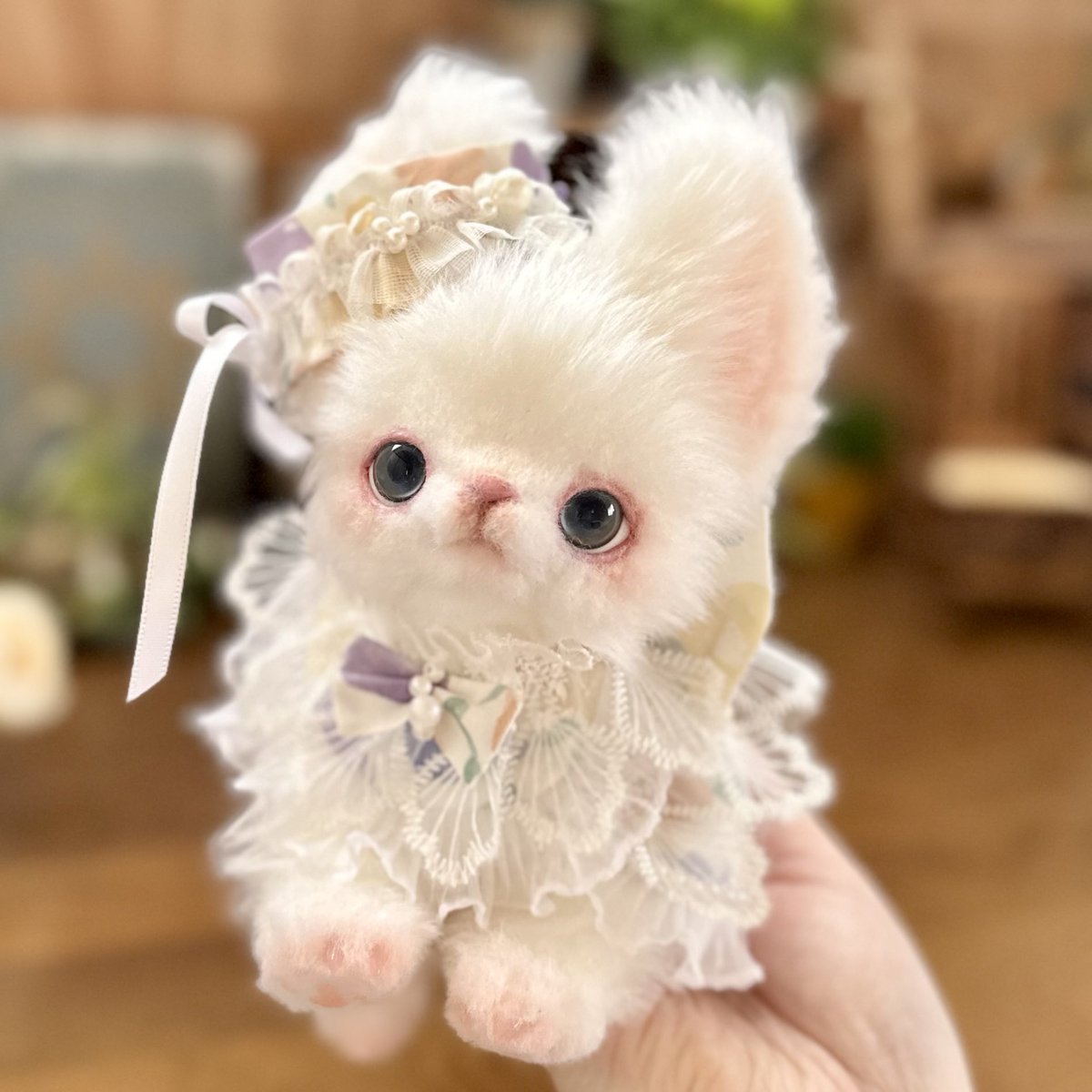 抱っこして〜と手に寄ってきたボンボン