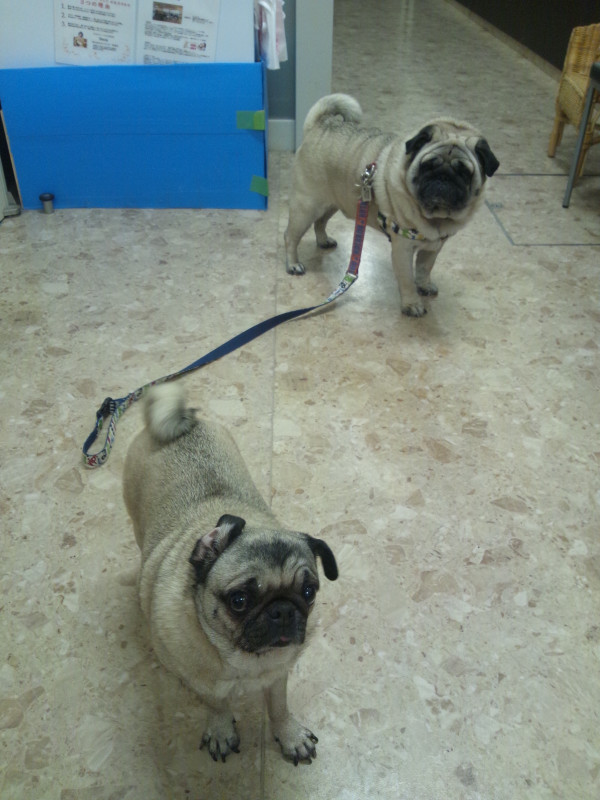 ほりどん tweet media