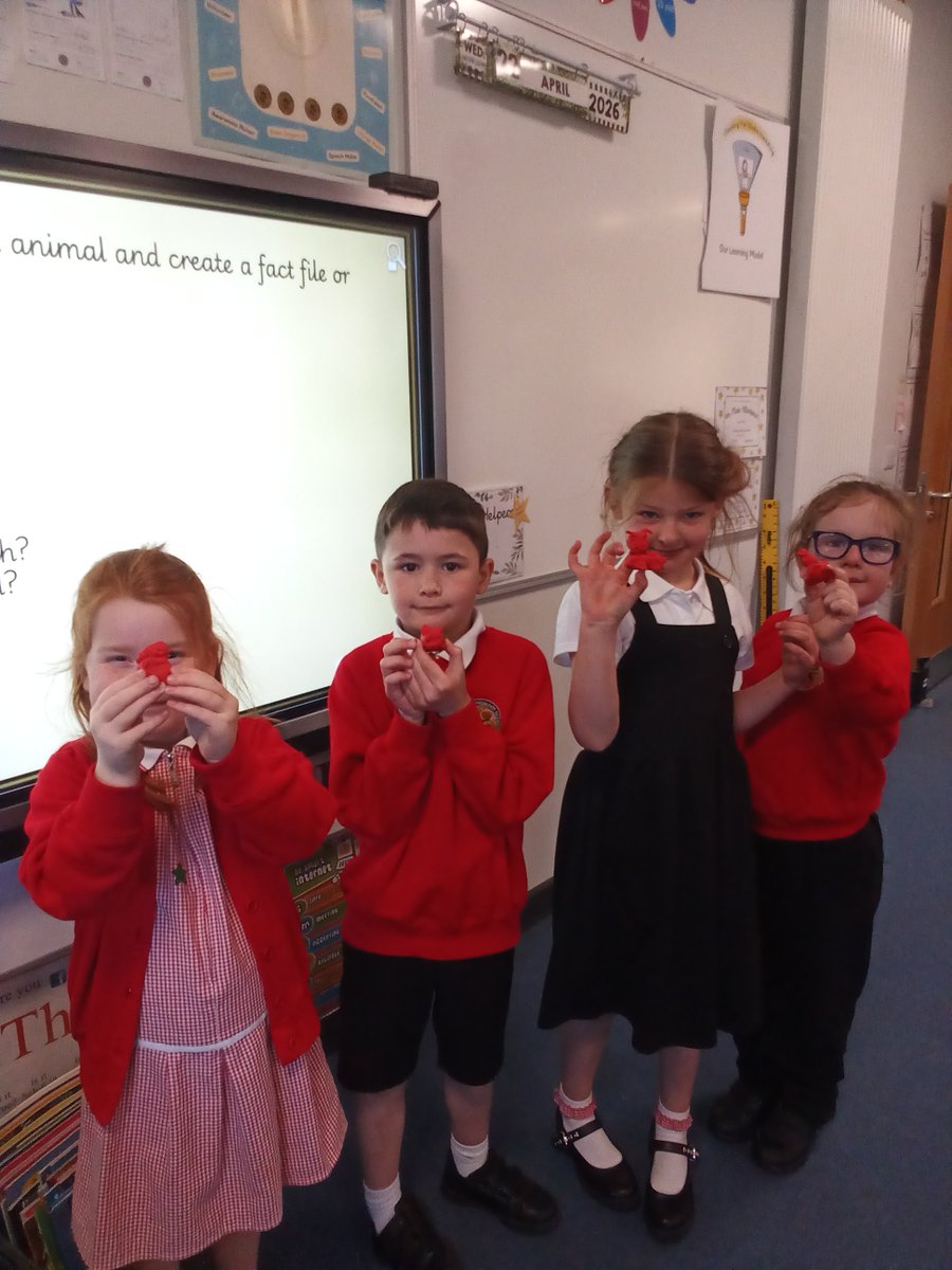 GCPYEAR2's tweet photo. We've been learning about farms and made our own farm animals @PrimaryGreat #gcpart #delightandjoy https://t.co/DGYxDqwmn3